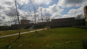 Rice University Campus: Can you see the blue sky? It turned out to be warmer in the afternoon. 